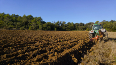 Agricultura