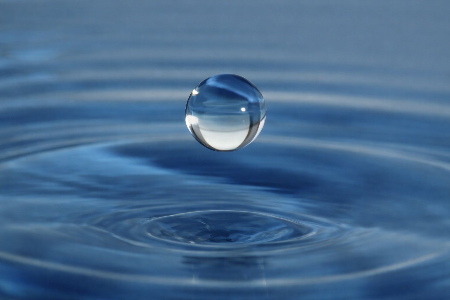 Fondo agua
